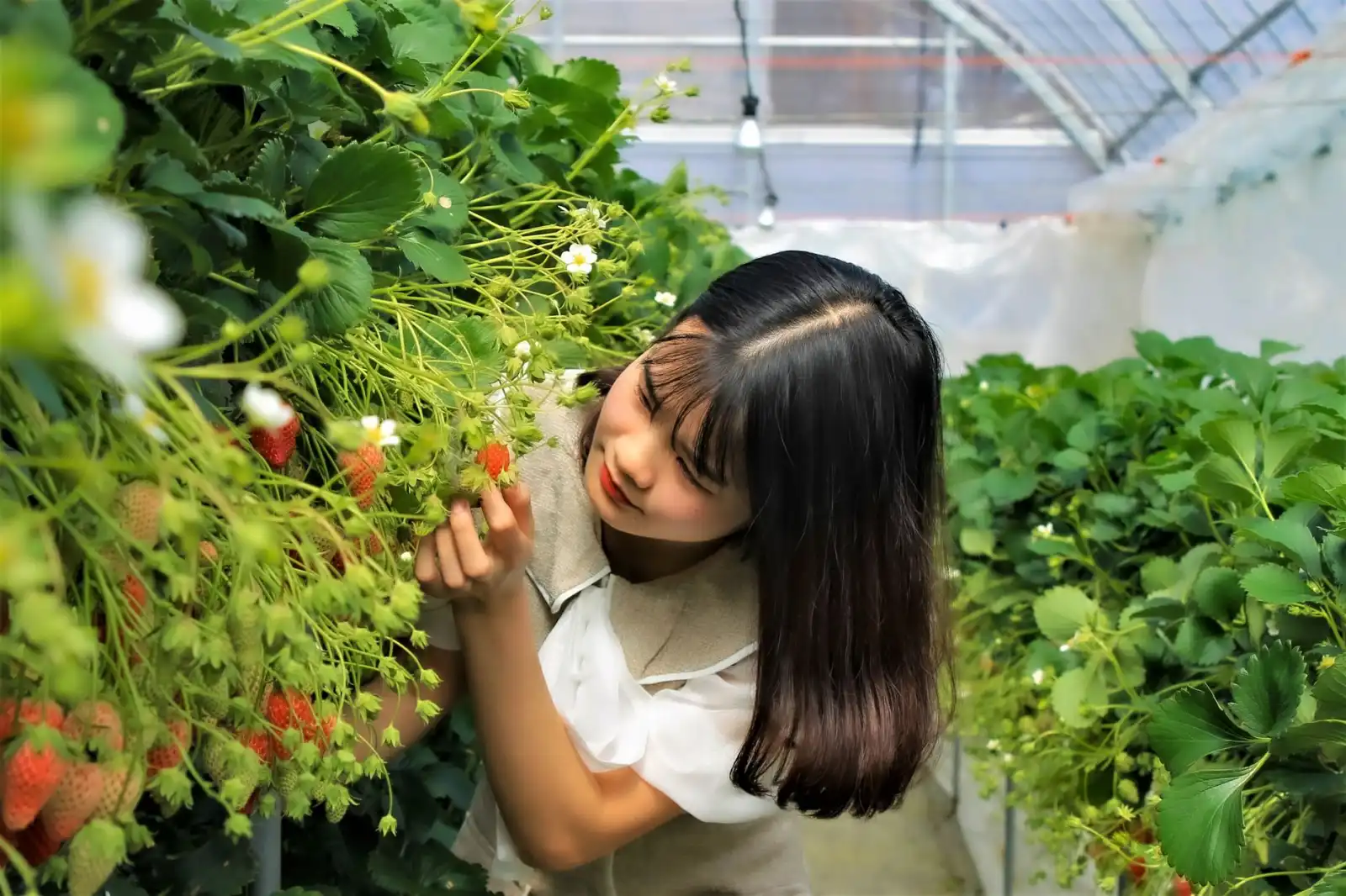 汉中运动地坪施工方案对比：不同基层条件下材料选型与工期控制要点